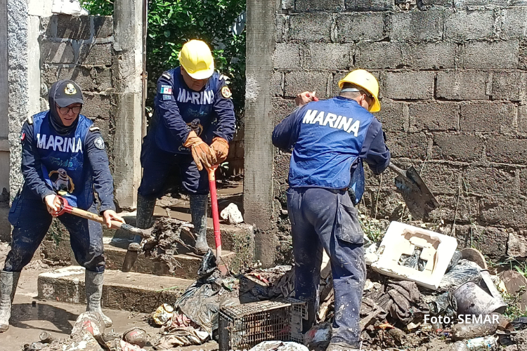 El costo del seguro es de solo $8.50 quincenales, descontados vía nómina, lo que lo convierte en uno de los más accesibles del mercado